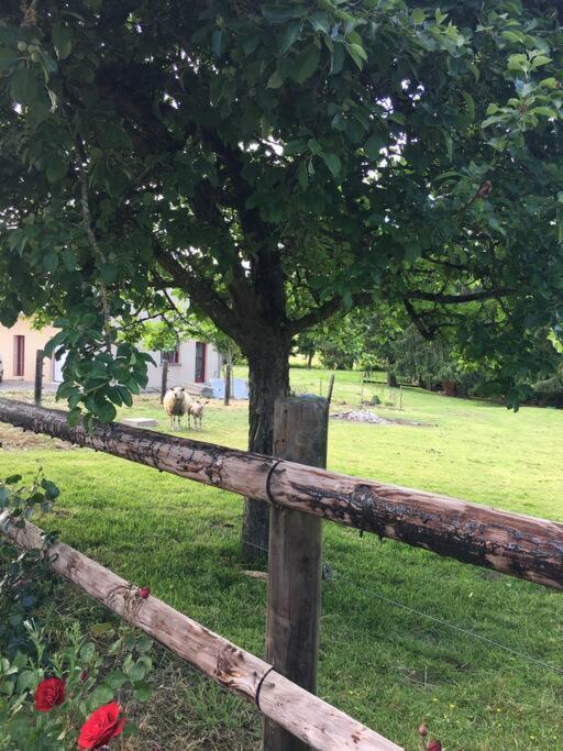 Gite De La Poupardiere, Maison De Campagne En Bordure De Riviere - 2 Nuits Minimum Villa Les Cresnays Eksteriør bilde